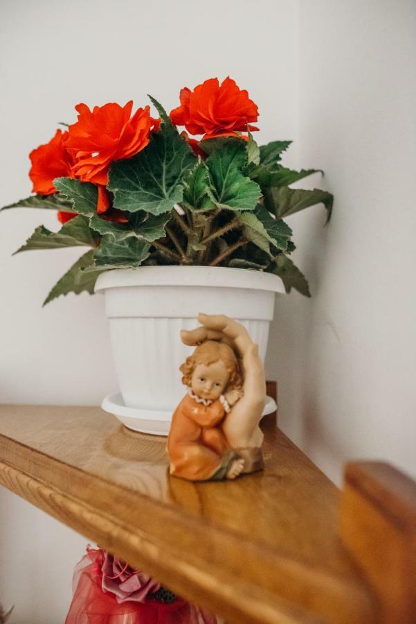 Apartman "Joka" Ðakovo エクステリア 写真