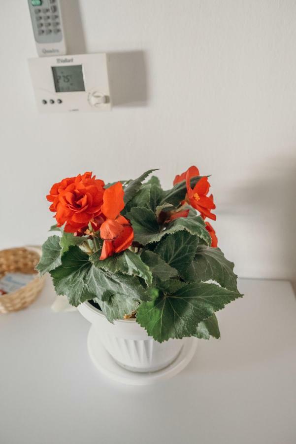 Apartman "Joka" Ðakovo エクステリア 写真
