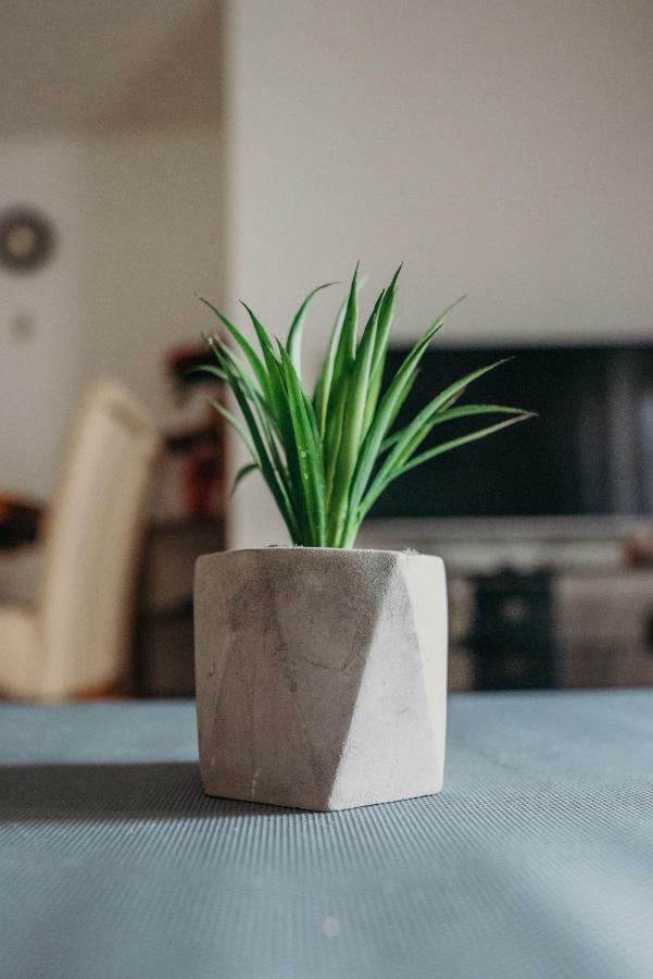 Apartman "Joka" Ðakovo エクステリア 写真