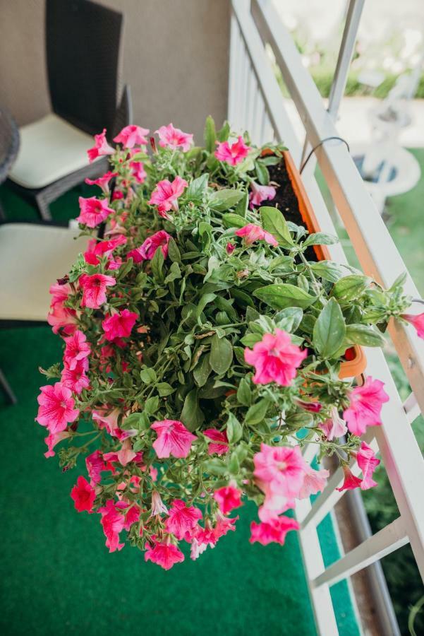 Apartman "Joka" Ðakovo エクステリア 写真