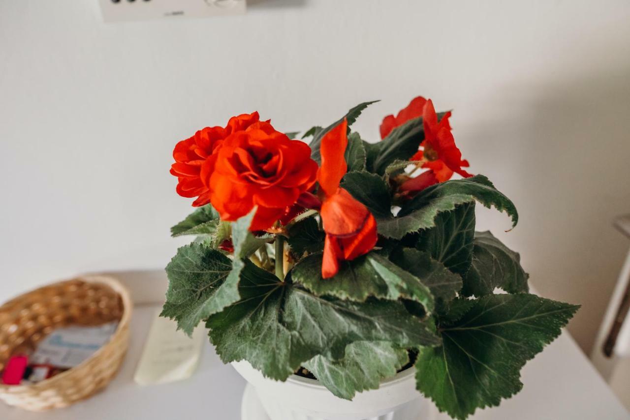 Apartman "Joka" Ðakovo エクステリア 写真